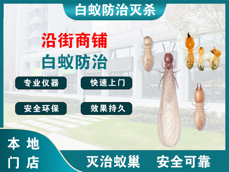 长兴县沿街商铺白蚁防治