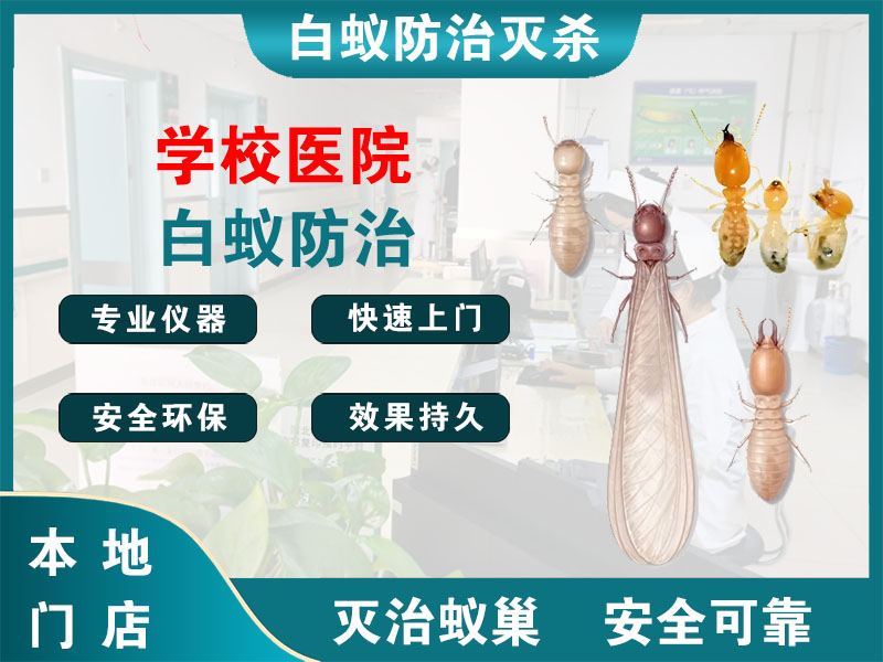 长兴县学校医院白蚁防治