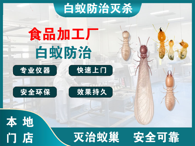 长兴县食品加工厂白蚁防治