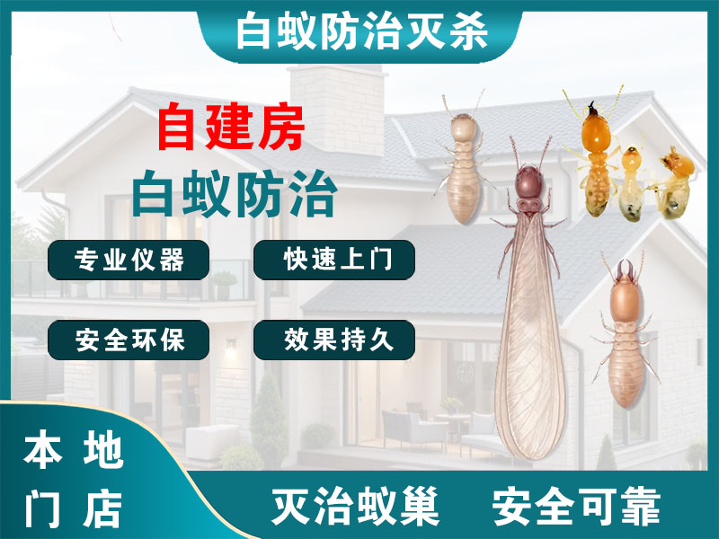 长兴县自建房白蚁防治