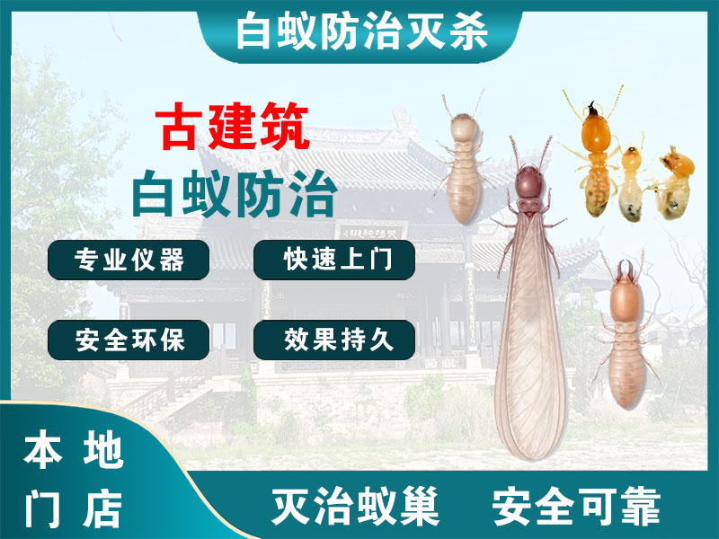 长兴县古建筑白蚁防治