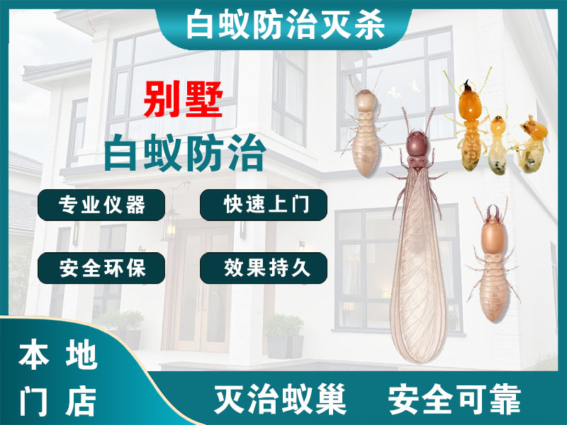 长兴县别墅白蚁防治