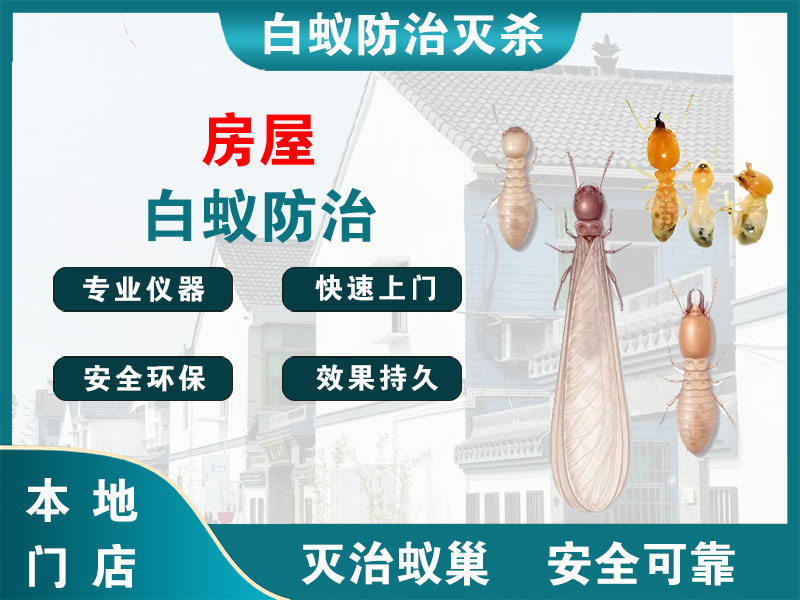长兴县房屋白蚁防治